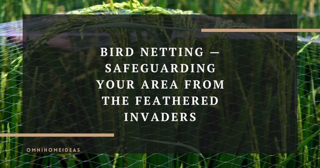 bird netting — safeguarding your area from the feathered invaders