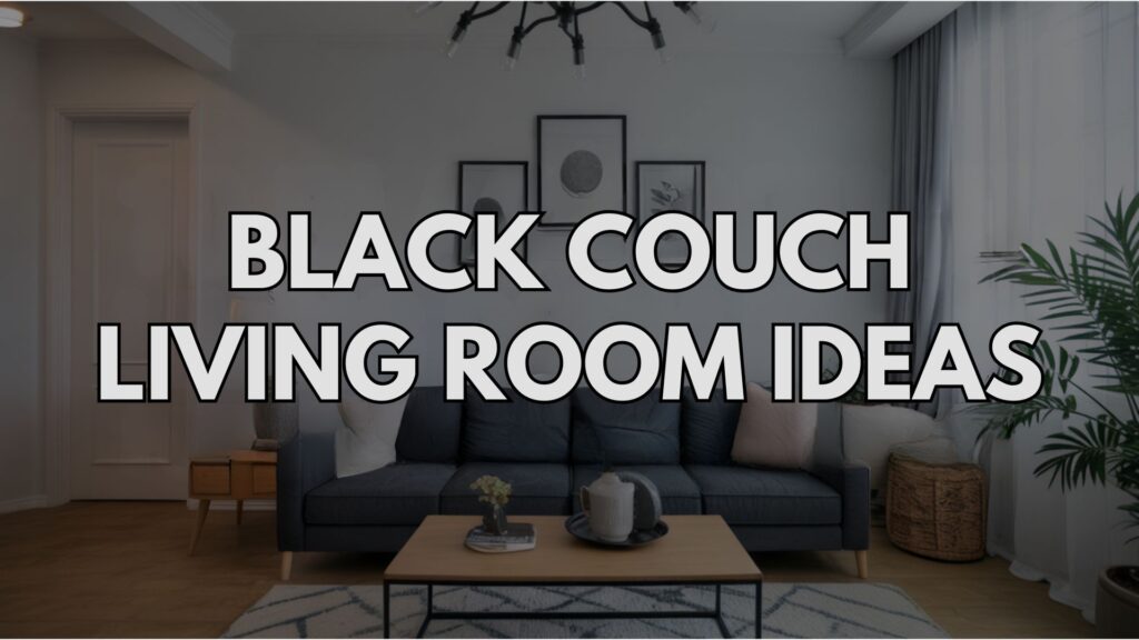 Black Couch Living Room Ideas