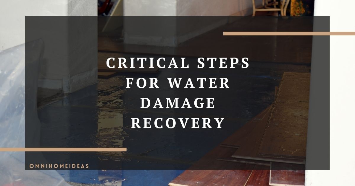 critical steps for water damage recovery