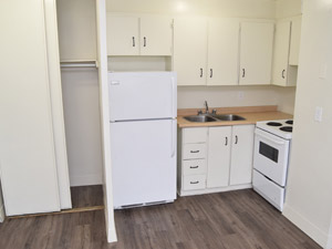 1 Bedroom apartment for rent in HAMILTON