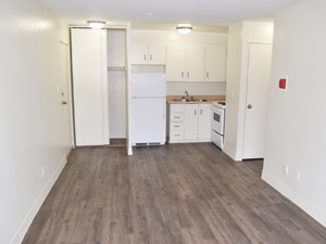 1 Bedroom apartment for rent in HAMILTON