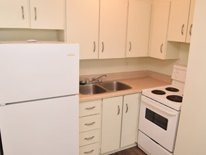 1 Bedroom apartment for rent in HAMILTON