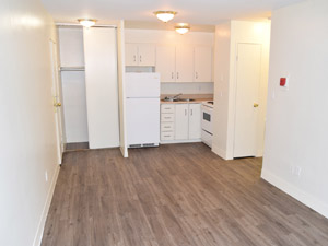 1 Bedroom apartment for rent in HAMILTON