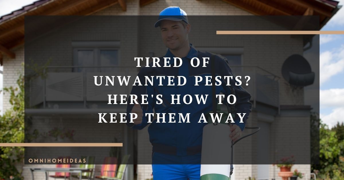 how baton rouge homeowners can keep pests at bay all year round