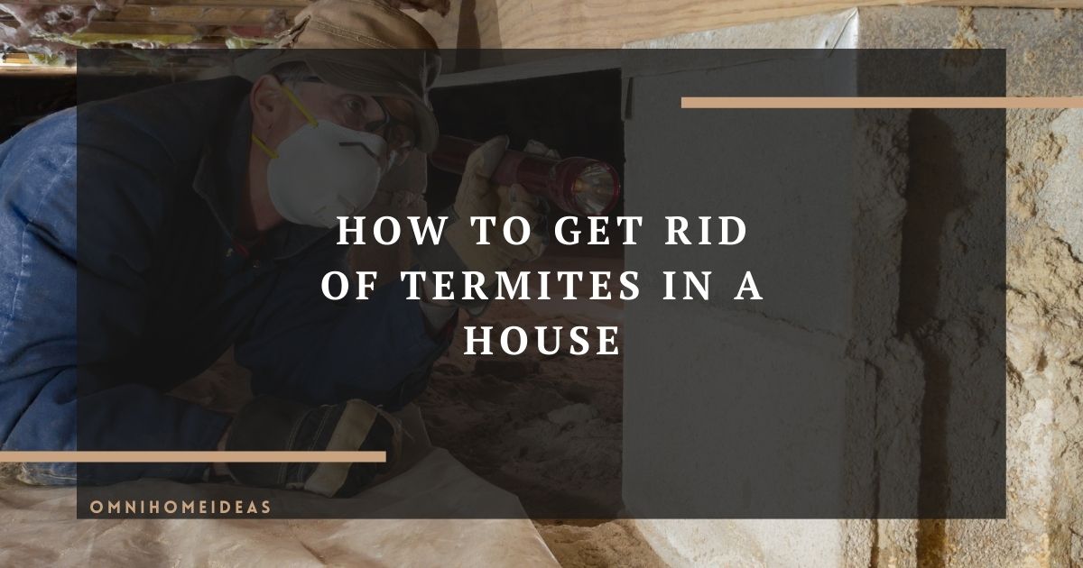 how to get rid of termites in a house