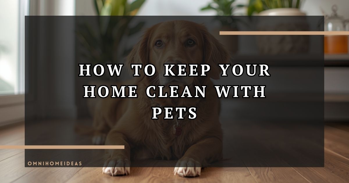 How To Keep Your Home Clean With Pets
