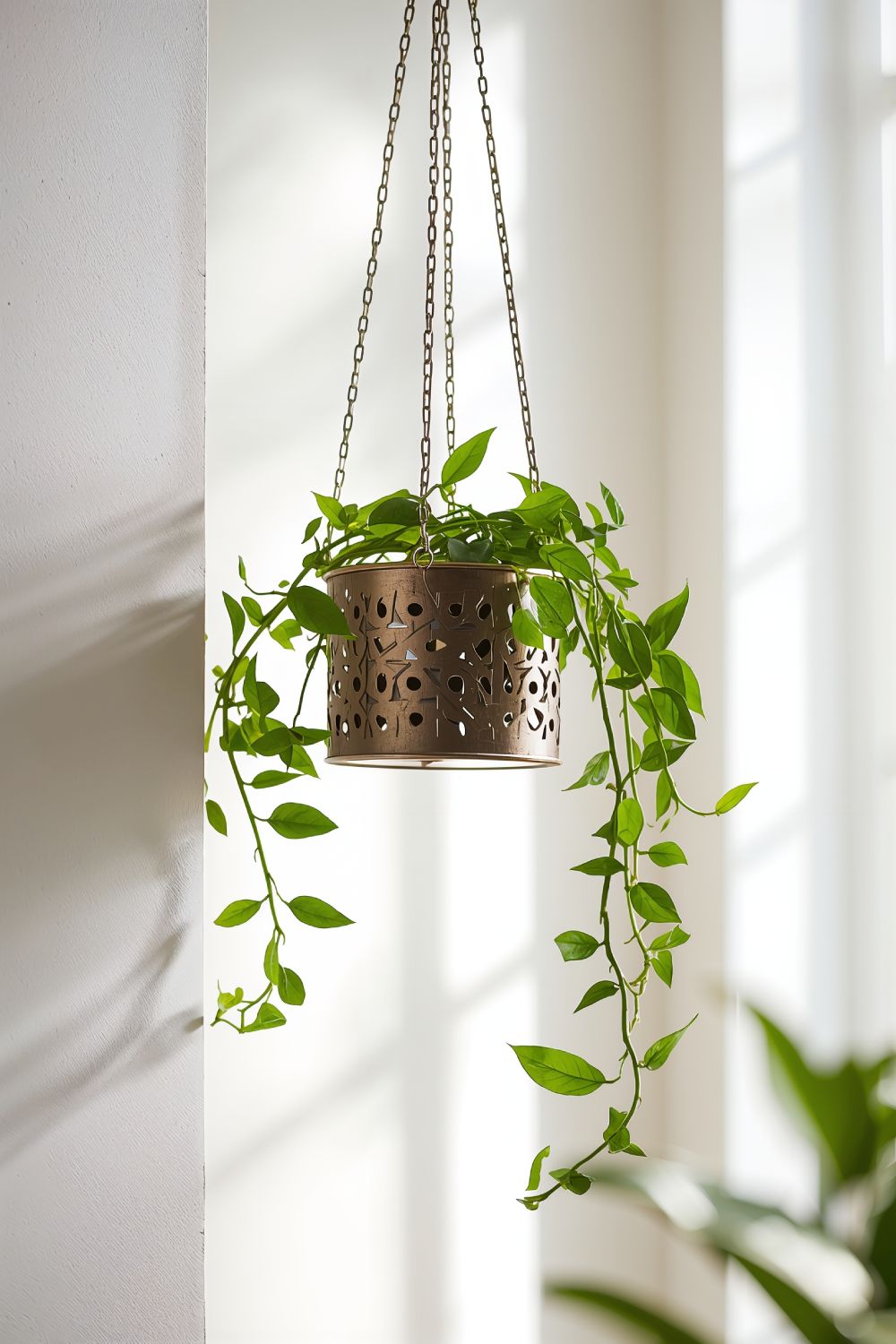 Laser Cut Metal Plant Holder