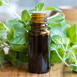 Oregano oil provides many health benefits and uses.