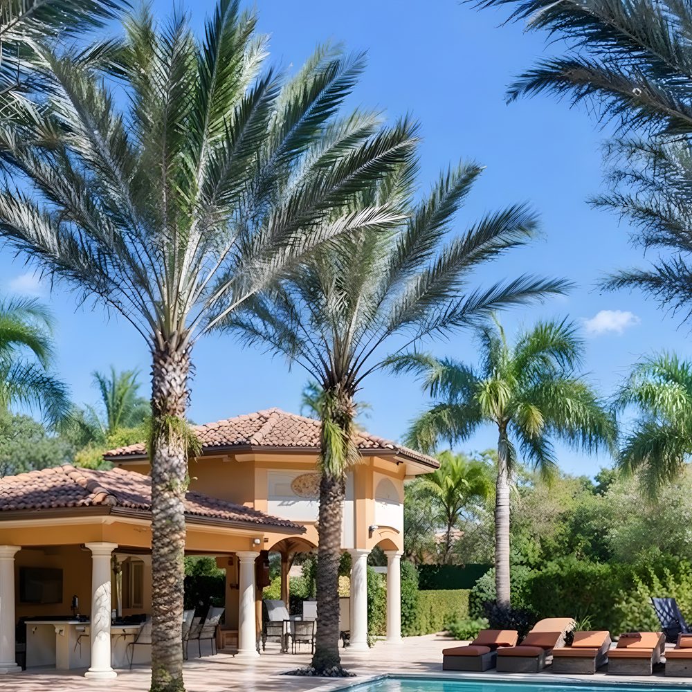 10 resort style pool and pavilion in antonio brown%e2%80%99s flo