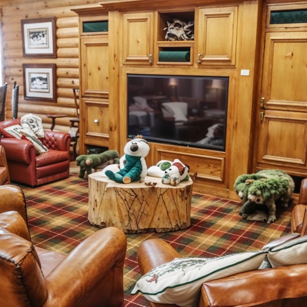 04 rustic children%e2%80%99s suite in asherwood estate