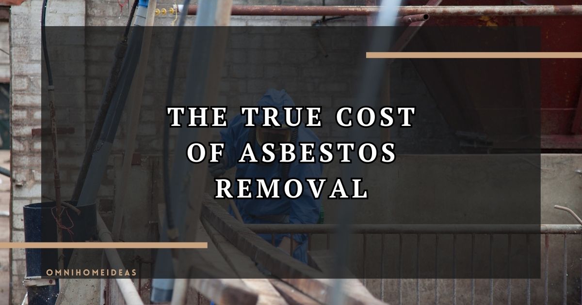 the true cost of asbestos removal
