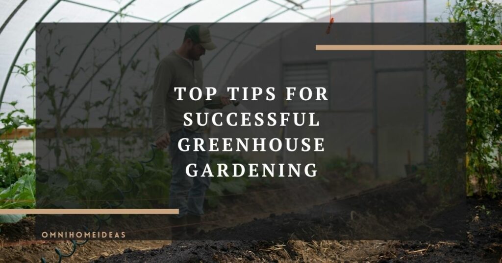 top tips for successful greenhouse gardening