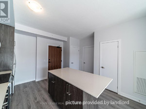 1 Bedroom apartment for rent in Hamilton  