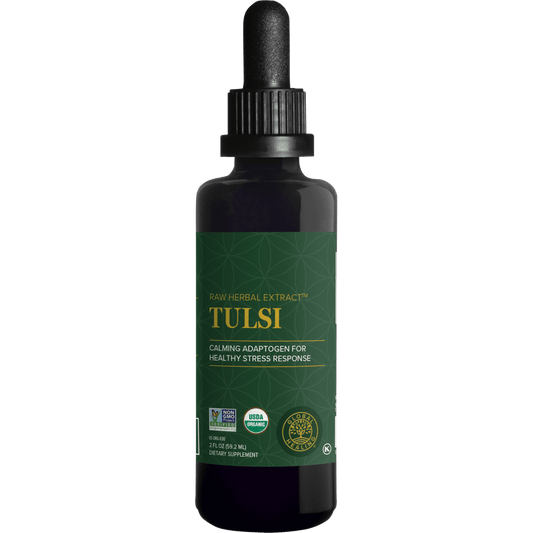 Tulsi/Holy Basil