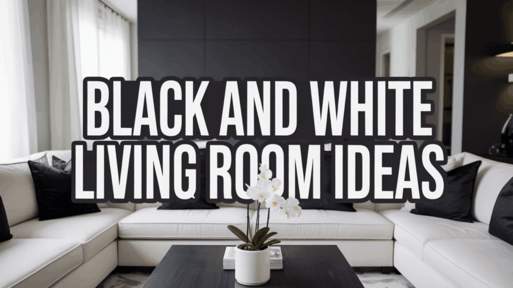 Black And White Living Room Ideas